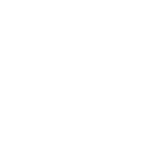 SKS Icon